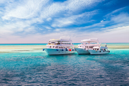 Common Mistakes That Threaten Tourism Companies During Rapid Growth