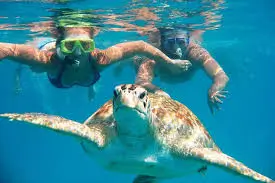 Why Turnkey Solutions Launch Faster Than Custom Builds in Tourism